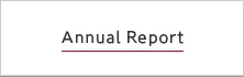 Integrated Annual Reports