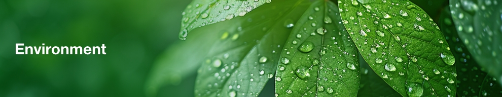 Environment