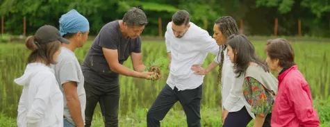 Community Contribution