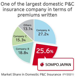 Market Share in Domestic P&C Insurance