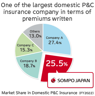 Market Share in Domestic P&C Insurance