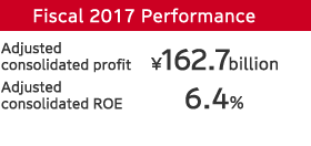 Fiscal 2017 Performance