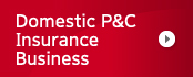 Domestic P&C Insurance Business