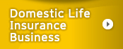 Domestic Life Insurance Business Domestic Life Insurance Business