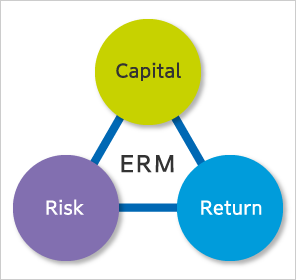 Enterprise Risk Management (ERM)