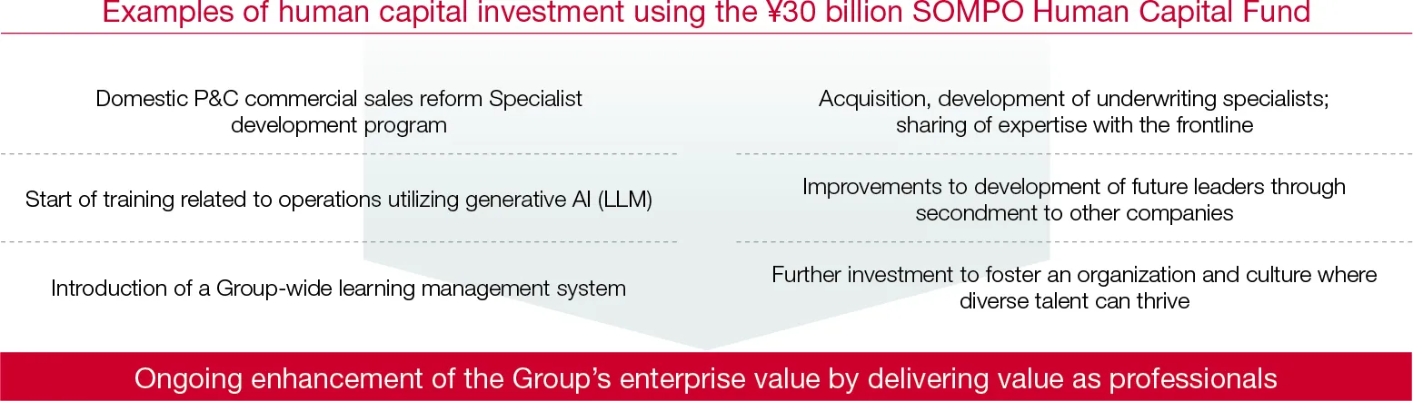 Figure:Examples of human capital investment using the ¥30 billion SOMPO Human Capital Fund