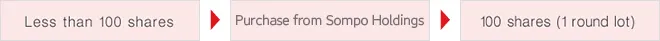 Less than 100 shares Purchase from NKSJ Holding 100 shares (1 round lot)