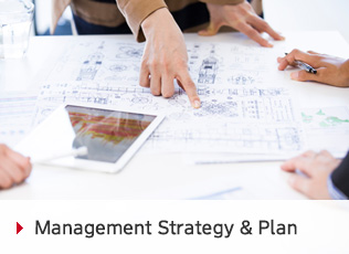 Management Strategy & Plan