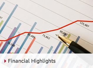 Financial Highlights