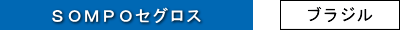 SOMPOセグロス