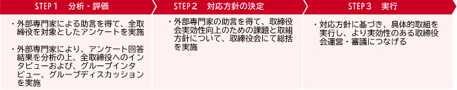 外部専門家を活用した第三者評価のプロセス