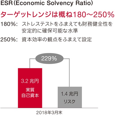 ESR（Economic Solvency Ratio）