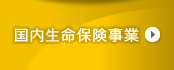 国内生命保険事業