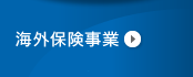 海外保険事業