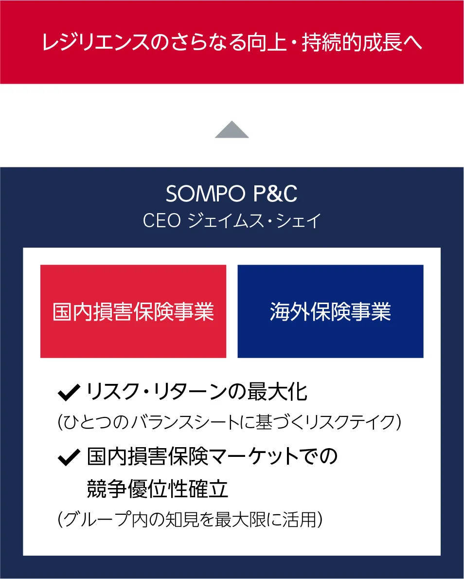 図：SOMPO　Ｐ＆Ｃの全体像